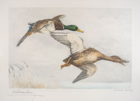 Офорт Danchin - 03 Canards sauvages - A couple of Mallards flying (Original)