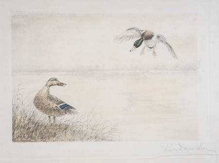 Офорт Danchin - 05 Canards se posant - Two Ducks landing (Original)