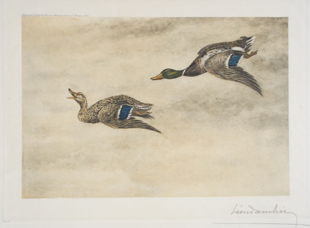 Офорт Danchin - 06 Canards de passage - Two passing Ducks (Original)