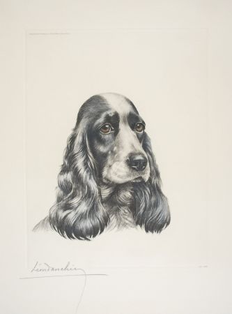 Офорт Danchin - 23 Tête de Cocker femelle - Black and white Cocker Spaniel head (Original)