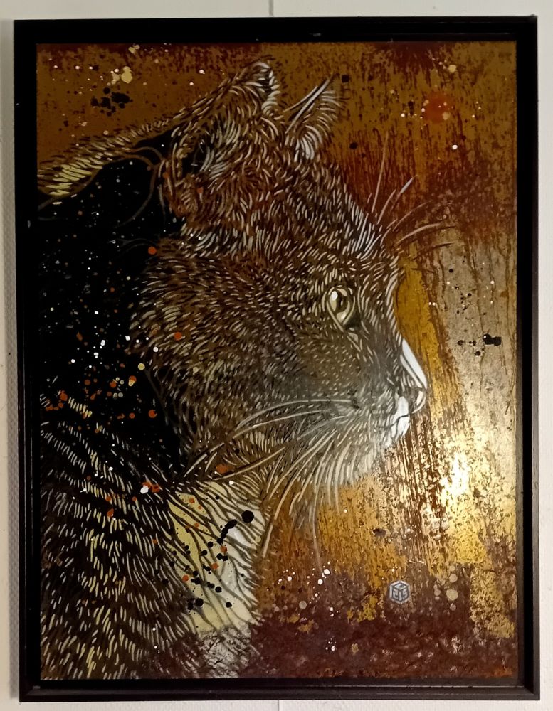 Трафарет C215 - ACRYLIQUE SUR ACIER