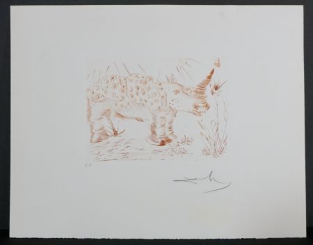 Гравюра Dali - Album Rhinoceros