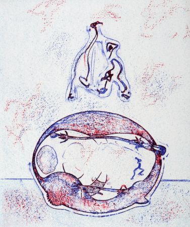 Литография Ernst - Après moi le XXème siècle, 1971