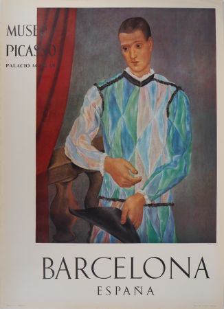 Иллюстрированная Книга Picasso - Arlequin