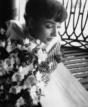 Фотографии Willoughby - Audrey Hepburn window