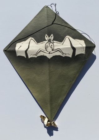 Нет Никаких Технических Toledo - Bat on Green Background Kite