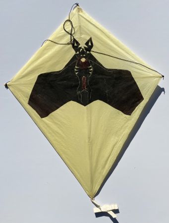 Нет Никаких Технических Toledo - Bat on Yellow Background Kite