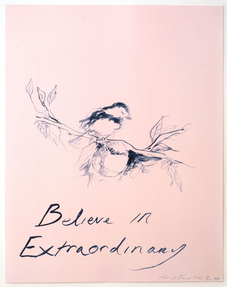 Литография Emin - Believe in Extraordinary