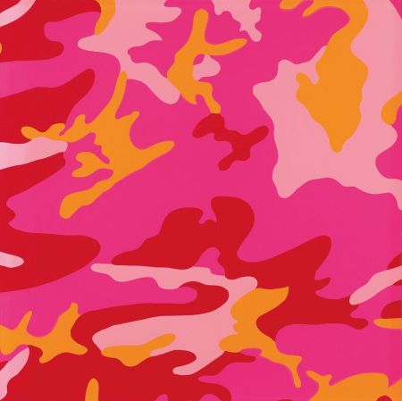 Сериграфия Warhol - Camouflage FS II.408