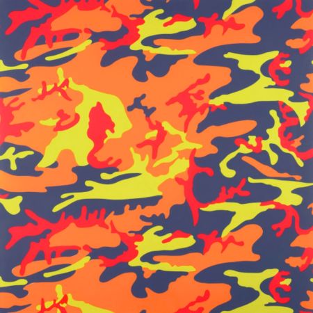 Сериграфия Warhol - Camouflage (FS II.412)