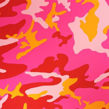 Сериграфия Warhol - Camouflage, II.408