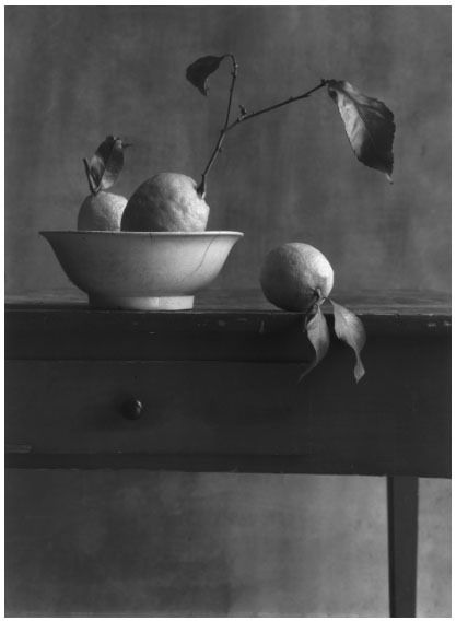Фотографии Anonyme - COIGNY Christian (1946).  Nature morte aux citrons