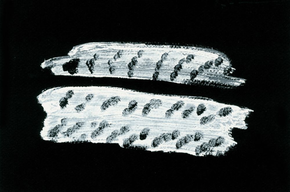 Иллюстрированная Книга Michaux - Comme un ensablement