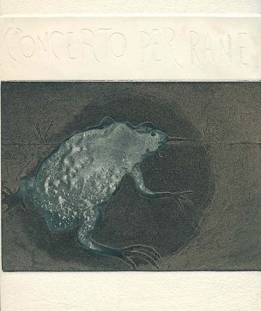 Иллюстрированная Книга Guarienti - Concerto per rane