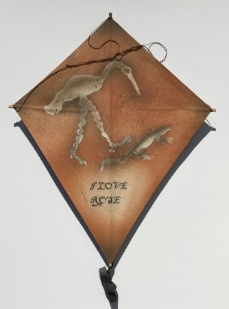 Нет Никаких Технических Toledo - Crane and Iguana Kite