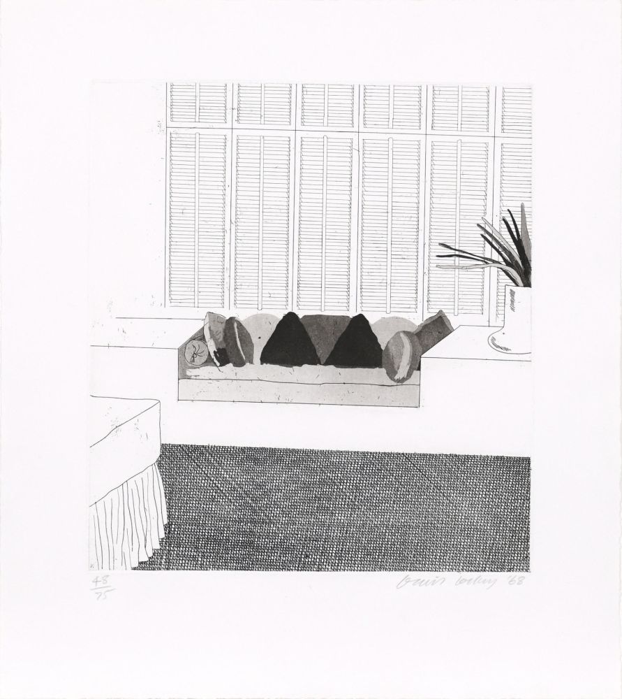 Офорт И Аквитанта Hockney - Cushions