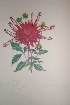 Литография Dali - Dahlias of Dalí (surrealistic flowers)