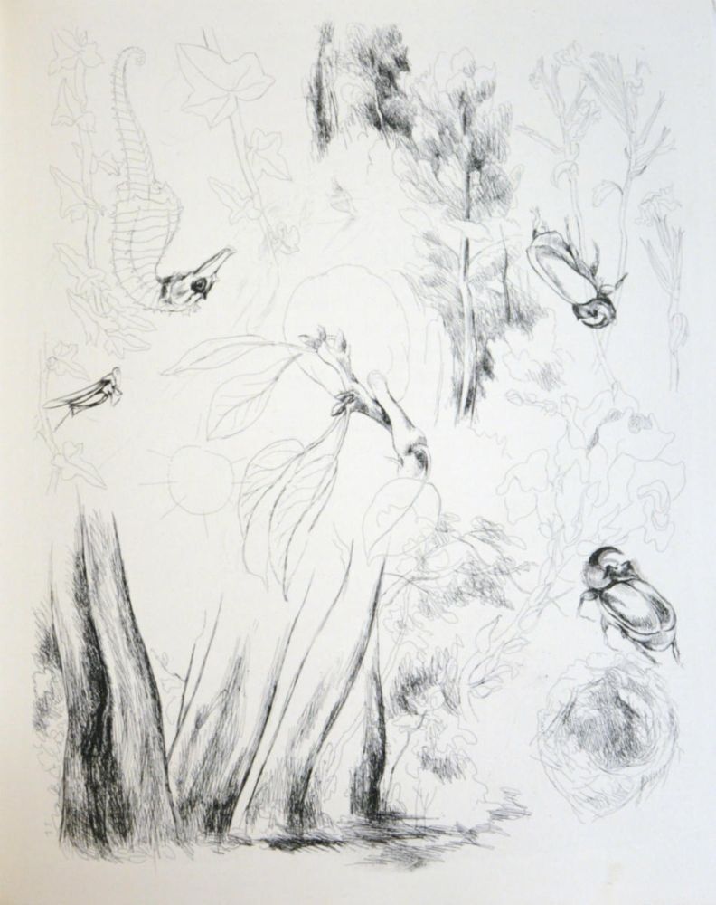 Иллюстрированная Книга Levy - De la nature (De Rerum Natura)