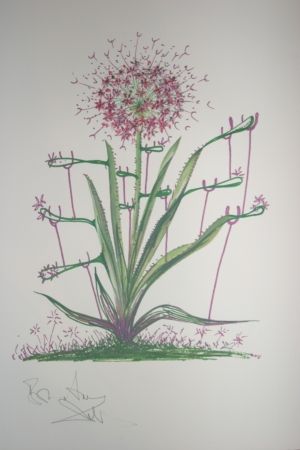Литография Dali -  Desert Cactus (surrealistic flowers)