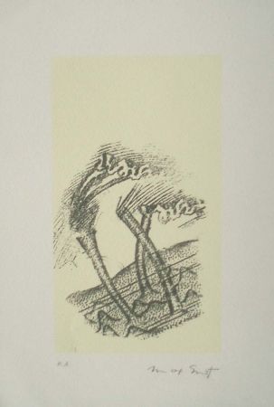 Литография Ernst - Desert plisses