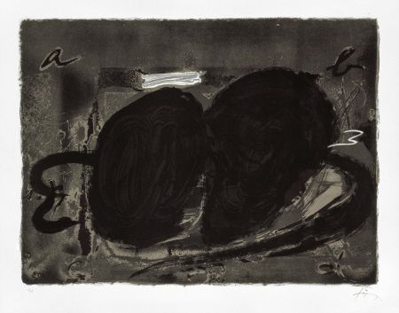 Литография Tàpies - Deux trous 