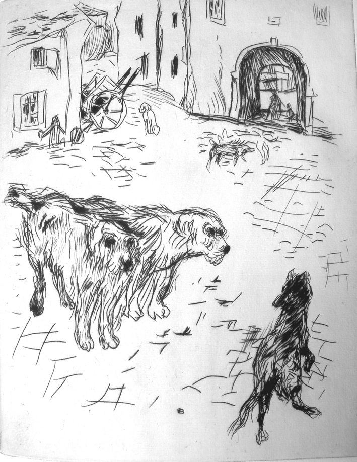 Иллюстрированная Книга Bonnard - Dingo