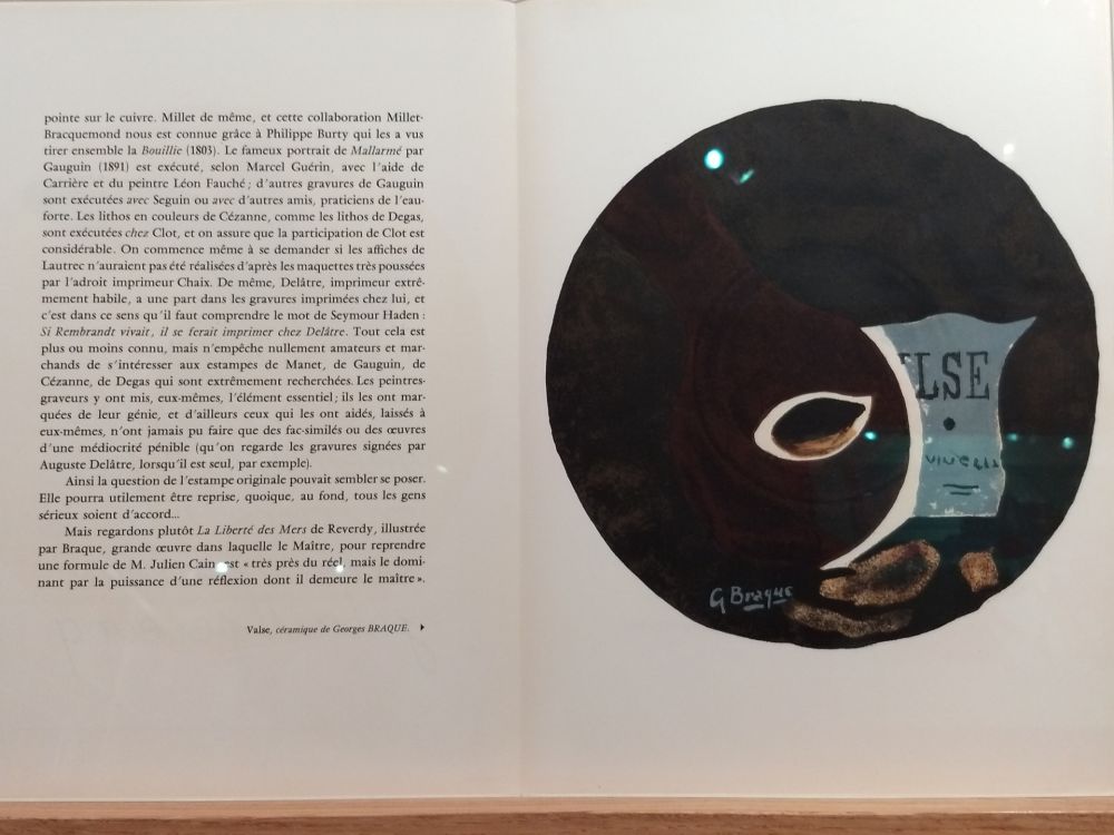 Иллюстрированная Книга Braque - DLM 121 122