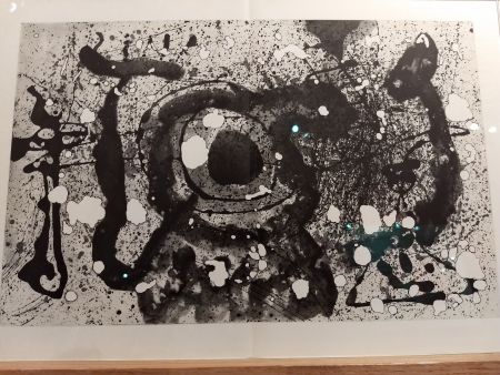 Иллюстрированная Книга Miró - DLM 121 122