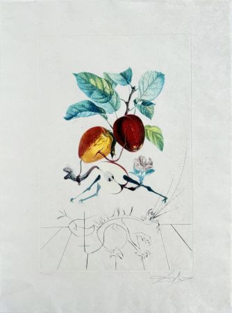 Литография Dali - Dragon Apple from Flordali suite