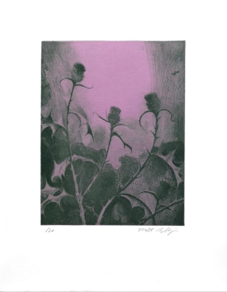 Гравюра Bollinger - Dusk Thistle