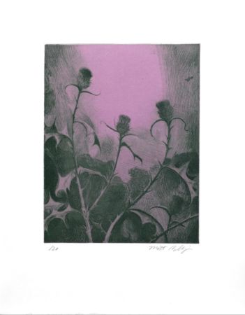 Гравюра Bollinger - Dusk Thistle
