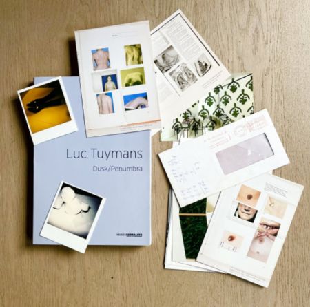 Многоэкземплярное Произведение Tuymans - Dusk/Penumbra (book)