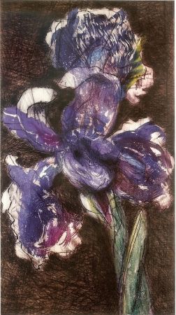 Литография Kentridge - Dutch Iris II