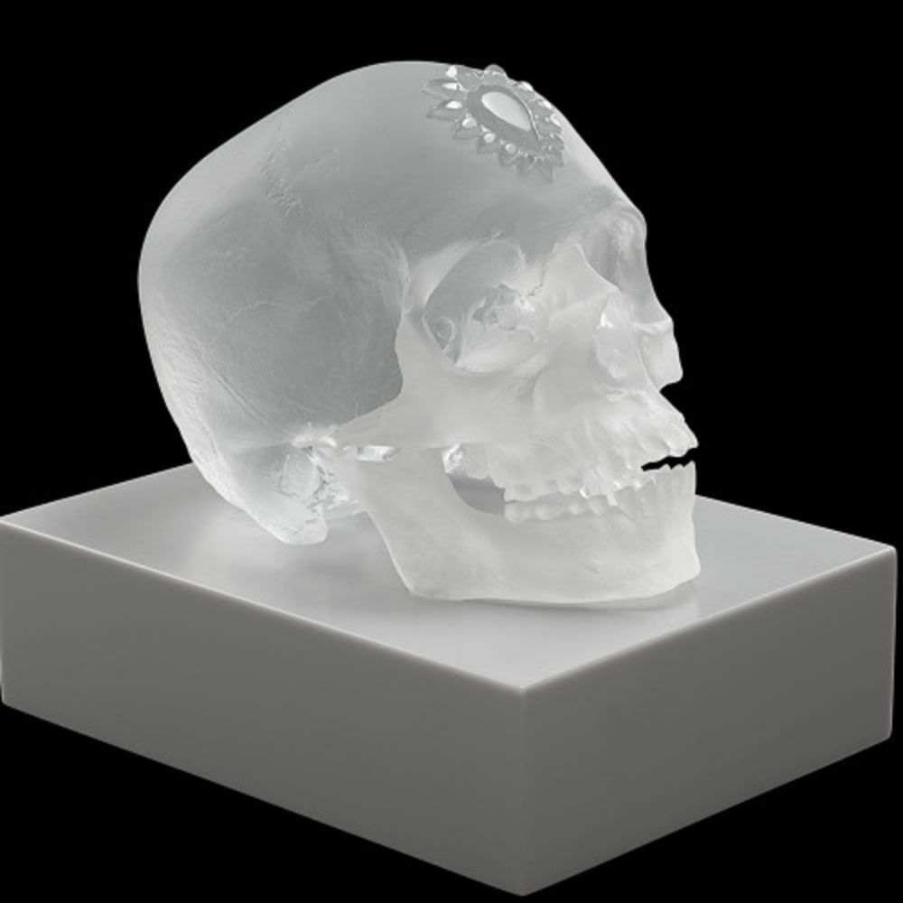 Многоэкземплярное Произведение Hirst - Eternal Sleep (Satin)