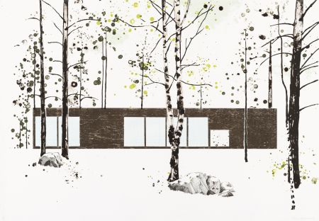 Гравюра На Дереве Drummond - Experimental House for Marimekko