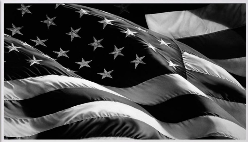 Многоэкземплярное Произведение Longo - Flag (Old Glory)