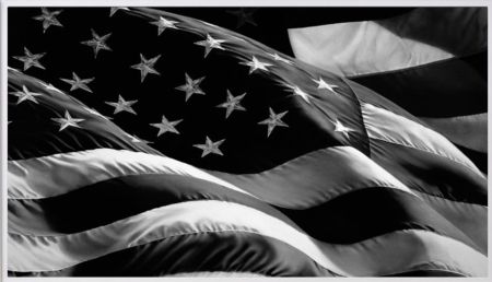 Многоэкземплярное Произведение Longo - Flag (Old Glory)