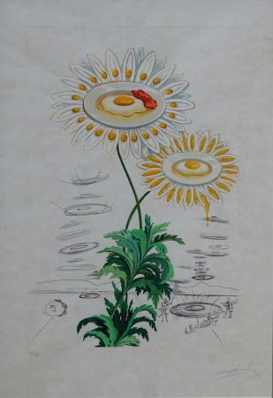 Гравюра Dali - Flora Dalinae Chrysanthemum