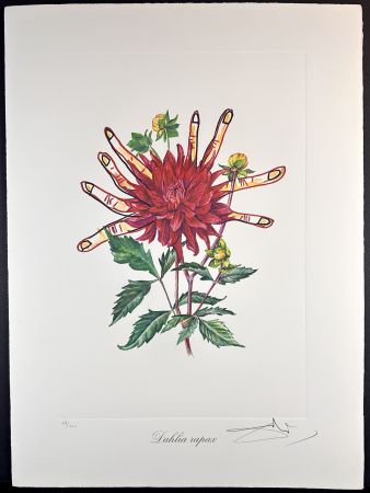 Гравюра Dali - Florals Dahlias of Dali