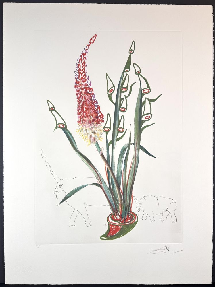 Гравюра Dali - Florals Stock Rhinos