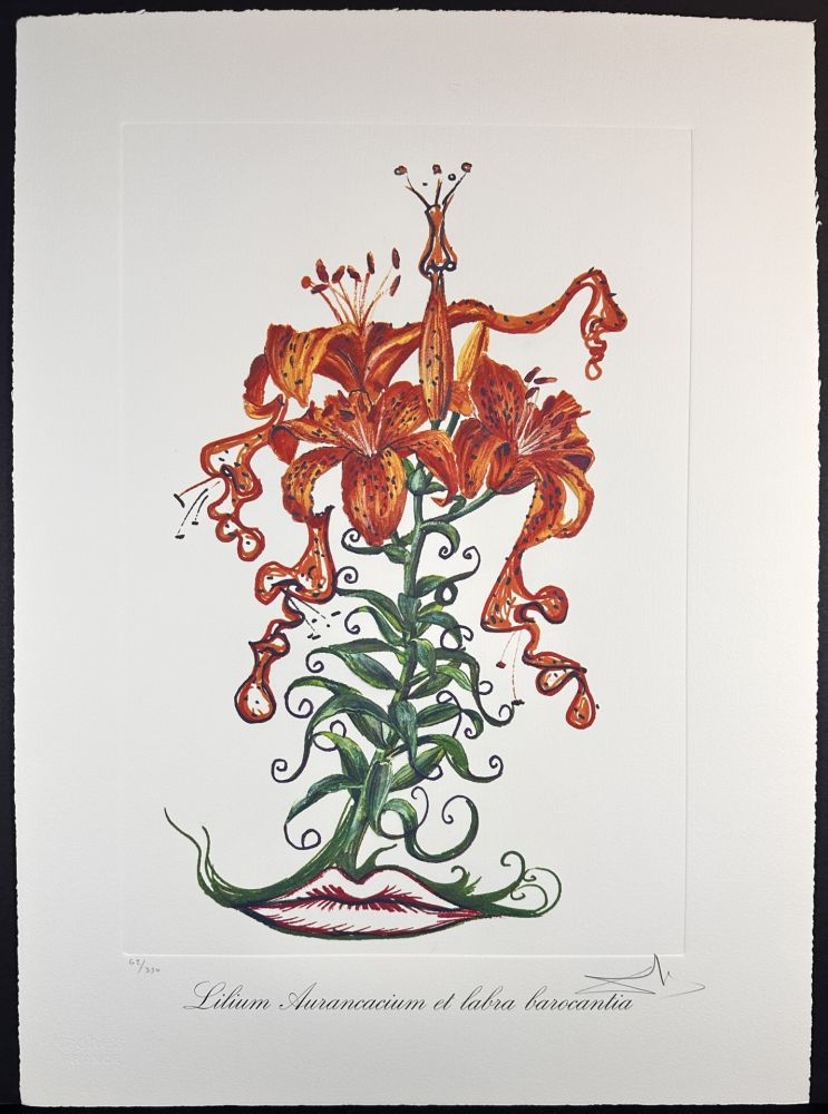 Гравюра Dali - Florals Tiger Lilies of The Theatre
