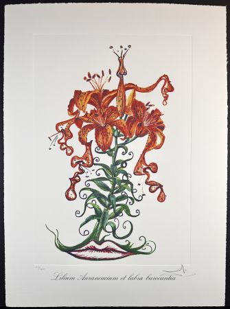 Гравюра Dali - Florals Tiger Lilies of The Theatre