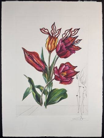Гравюра Dali - Florals Tulips Girafe en Feu