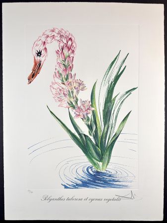 Гравюра Dali - Florals Water-Hybiscus Swan