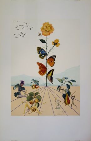 Литография Dali - Flordali II - La rose papillon