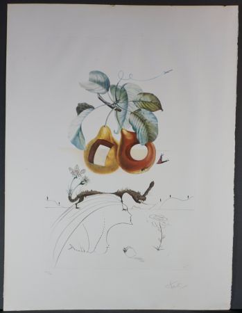 Гравюра Dali - FlorDali/Le Fruits Fruit With Holes