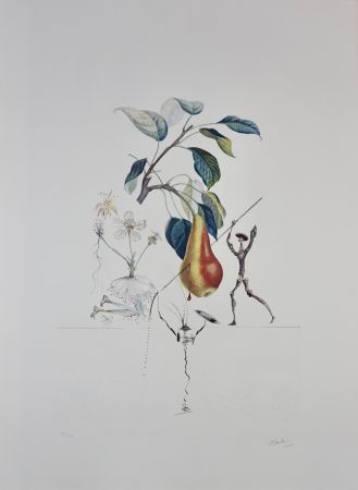 Гравюра Dali - FlorDali/Les Fruits Pear