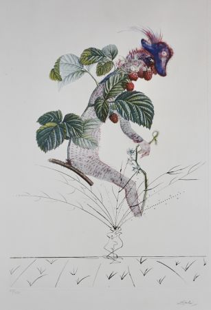 Гравюра Dali - FlorDali/Les Fruits Raspberry