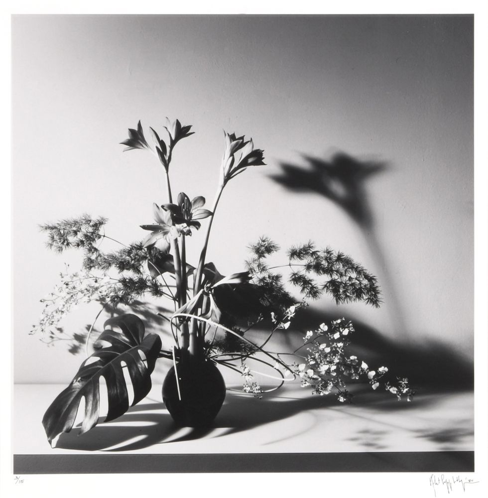 Фотографии Mapplethorpe - Flower Arrangement, N.Y.C.