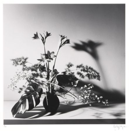 Фотографии Mapplethorpe - Flower Arrangement, N.Y.C.